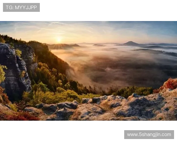 探索巴登巴登APP:让你的旅行体验更精彩